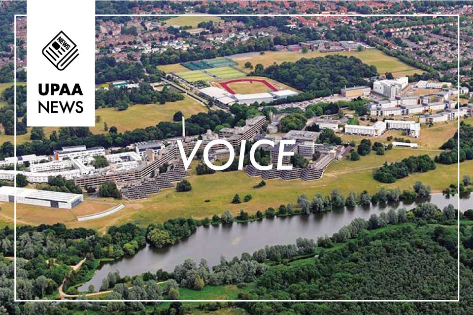 【Voice】イーストアングリア大学　ビジネス専攻の中島理乃さん